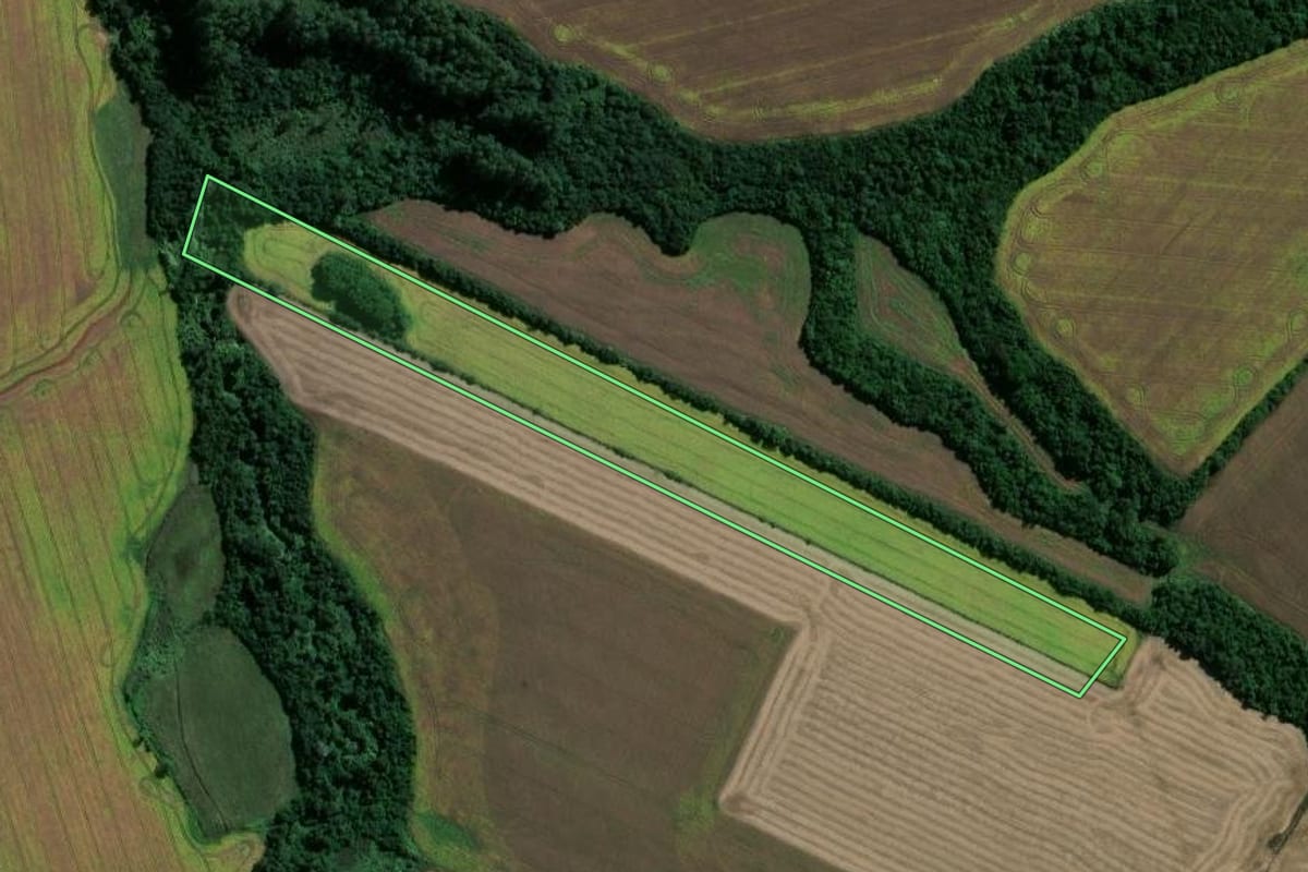 Imagem de satélite do imóvel rural em Capão do Cipó (RS), com o contorno declarado no CAR desenhado por cima.