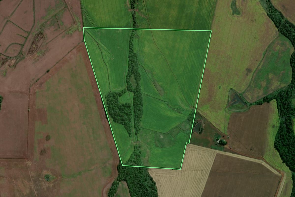 Imagem de satélite do imóvel rural em Capão do Cipó (RS), com o contorno declarado no CAR desenhado por cima.