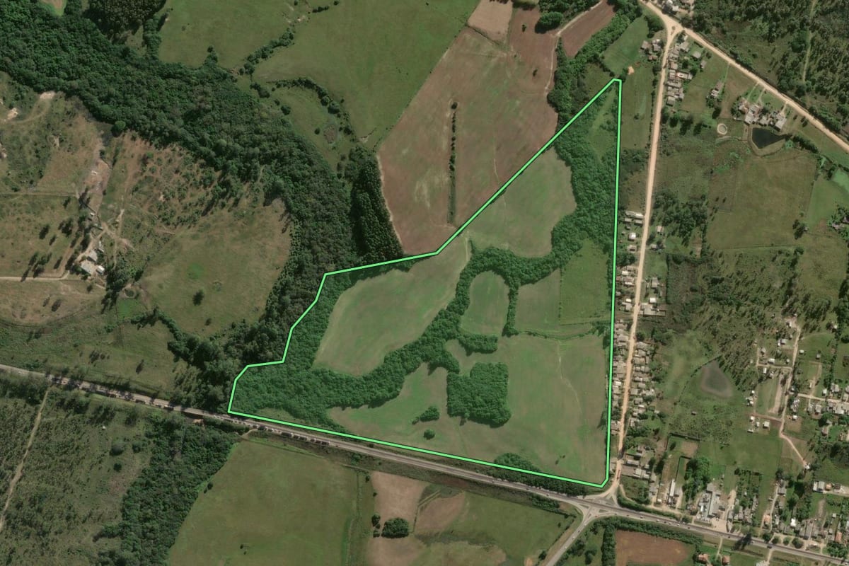 Imagem de satélite do imóvel rural em Capão do Leão (RS), com o contorno declarado no CAR desenhado por cima.