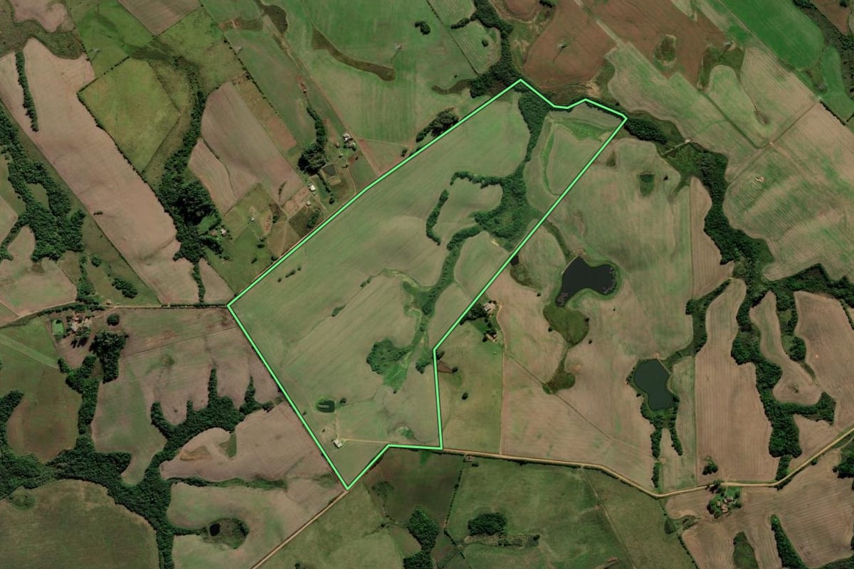 Imagem de satélite do imóvel rural em Capão do Leão (RS), com o contorno declarado no CAR desenhado por cima.