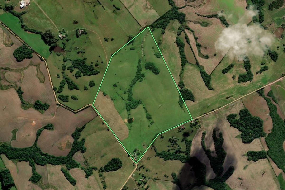 Imagem de satélite do imóvel rural em Capão do Leão (RS), com o contorno declarado no CAR desenhado por cima.