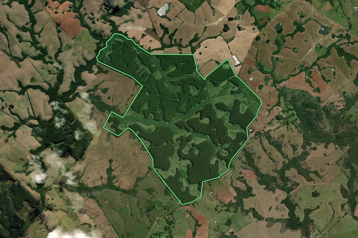 Imagem de satélite do imóvel rural em Capão do Leão (RS), com o contorno declarado no CAR desenhado por cima.