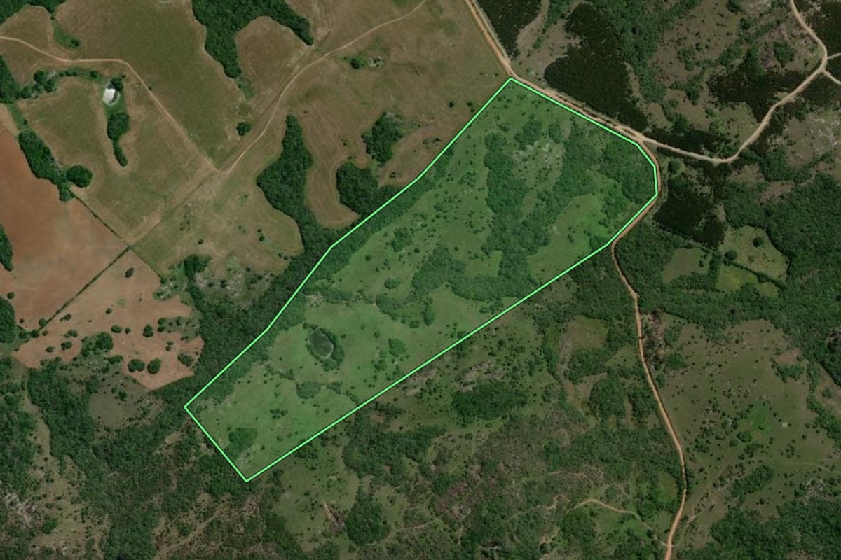 Imagem de satélite do imóvel rural em Capão do Leão (RS), com o contorno declarado no CAR desenhado por cima.