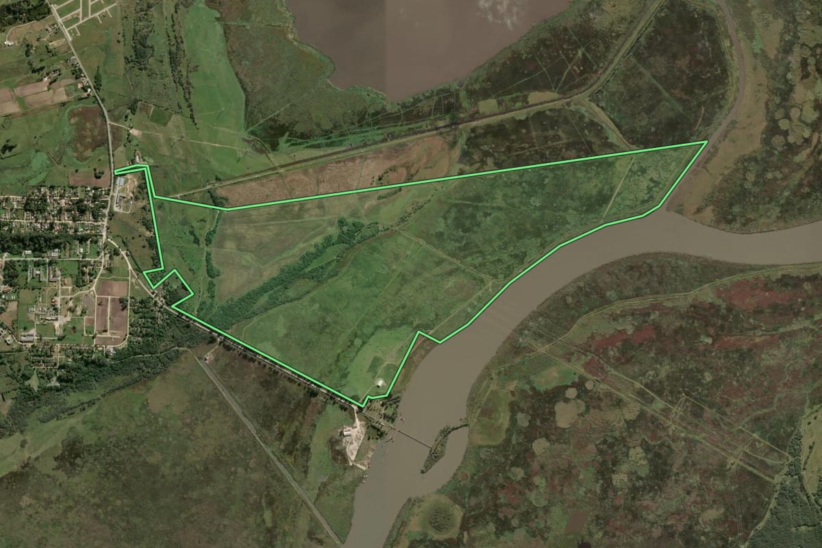 Imagem de satélite do imóvel rural em Capão do Leão (RS), com o contorno declarado no CAR desenhado por cima.