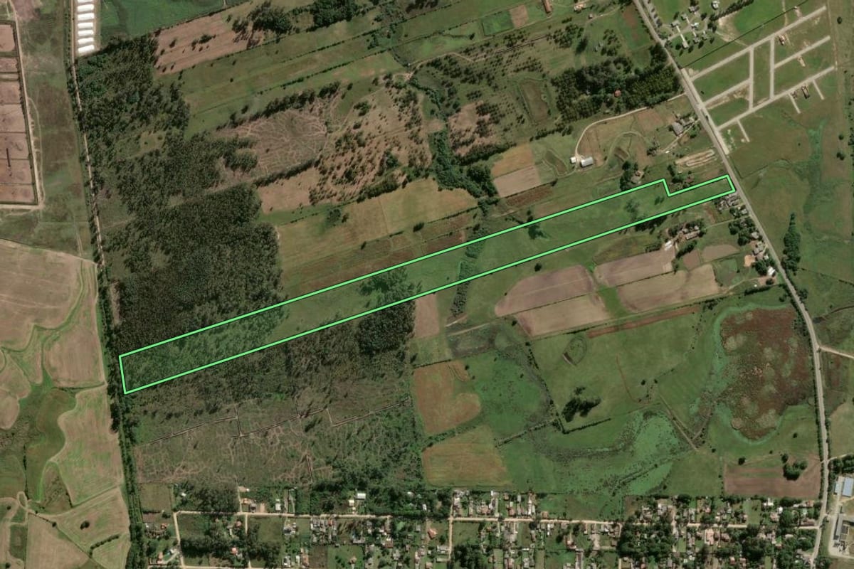 Imagem de satélite do imóvel rural em Capão do Leão (RS), com o contorno declarado no CAR desenhado por cima.