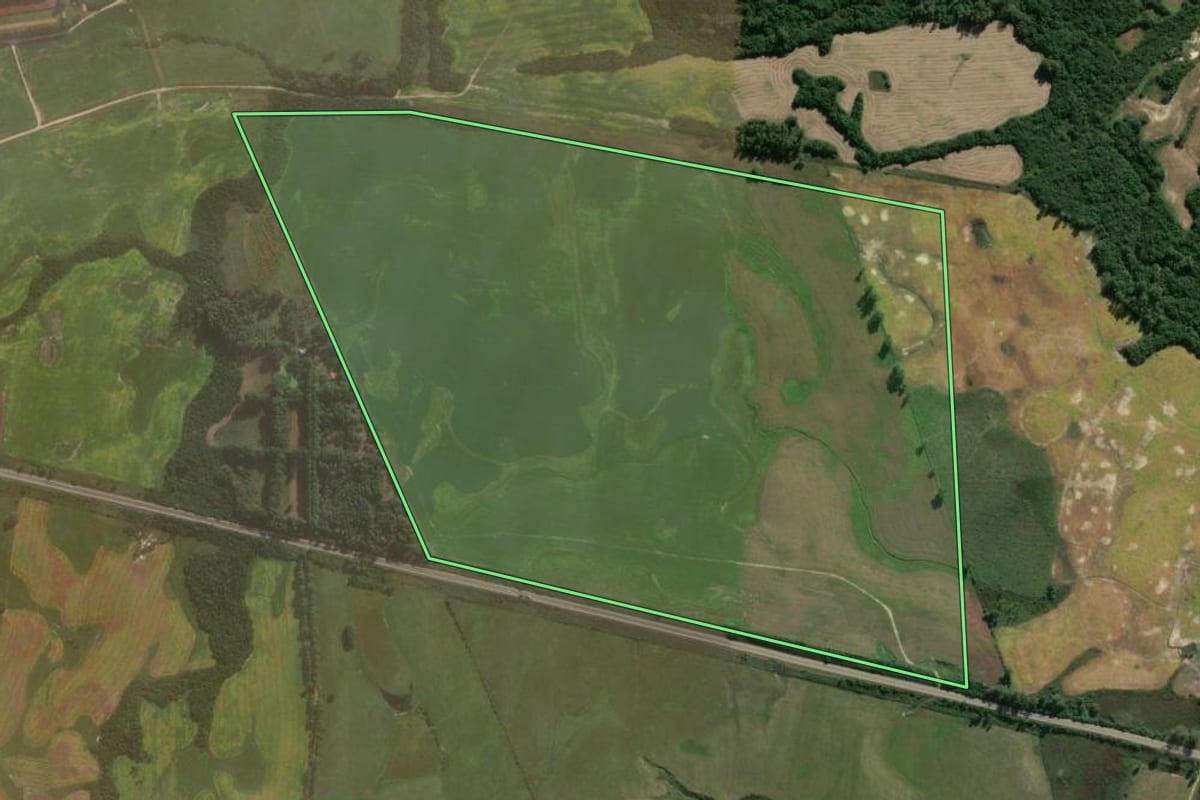 Imagem de satélite do imóvel rural em Capão do Leão (RS), com o contorno declarado no CAR desenhado por cima.