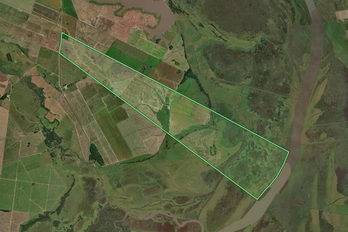 Imagem de satélite do imóvel rural em Capão do Leão (RS), com o contorno declarado no CAR desenhado por cima.