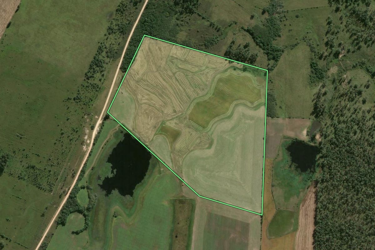 Imagem de satélite do imóvel rural em Capão do Leão (RS), com o contorno declarado no CAR desenhado por cima.