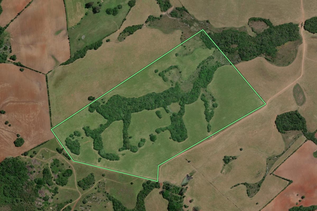 Imagem de satélite do imóvel rural em Capão do Leão (RS), com o contorno declarado no CAR desenhado por cima.