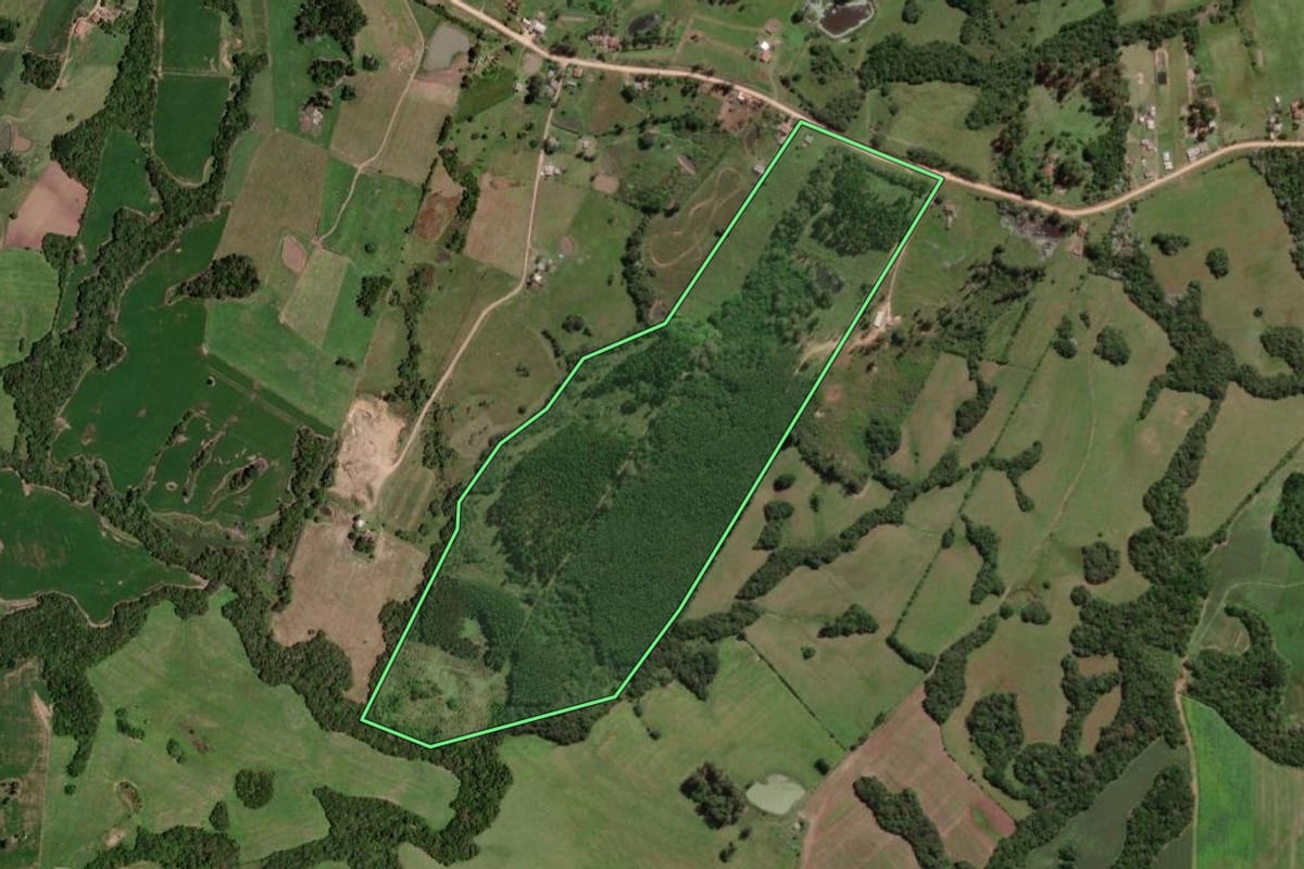 Imagem de satélite do imóvel rural em Capão do Leão (RS), com o contorno declarado no CAR desenhado por cima.