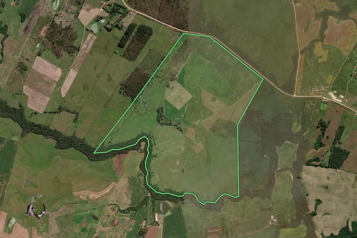 Imagem de satélite do imóvel rural em Capão do Leão (RS), com o contorno declarado no CAR desenhado por cima.
