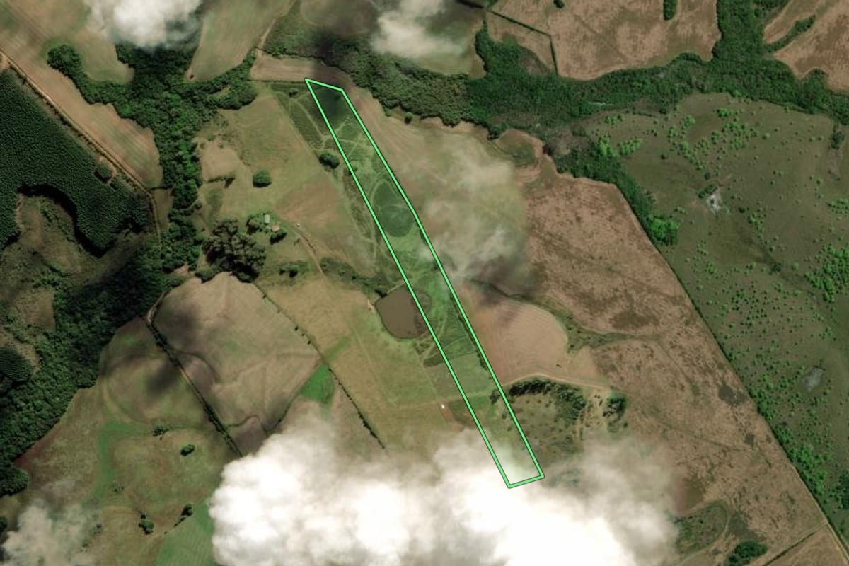 Imagem de satélite do imóvel rural em Capão do Leão (RS), com o contorno declarado no CAR desenhado por cima.