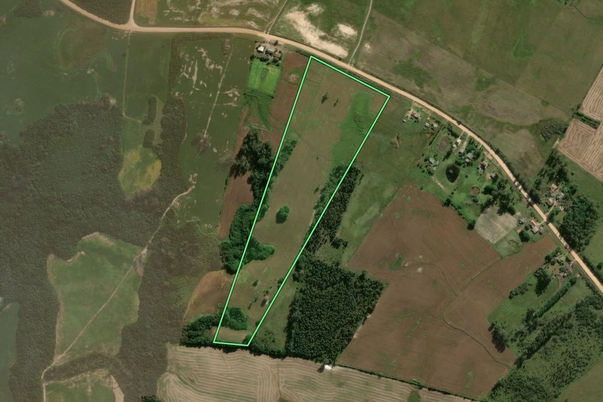 Imagem de satélite do imóvel rural em Capão do Leão (RS), com o contorno declarado no CAR desenhado por cima.