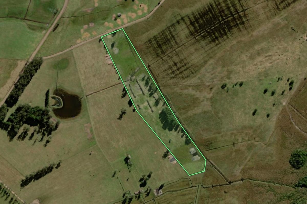 Imagem de satélite do imóvel rural em Capivari do Sul (RS), com o contorno declarado no CAR desenhado por cima.