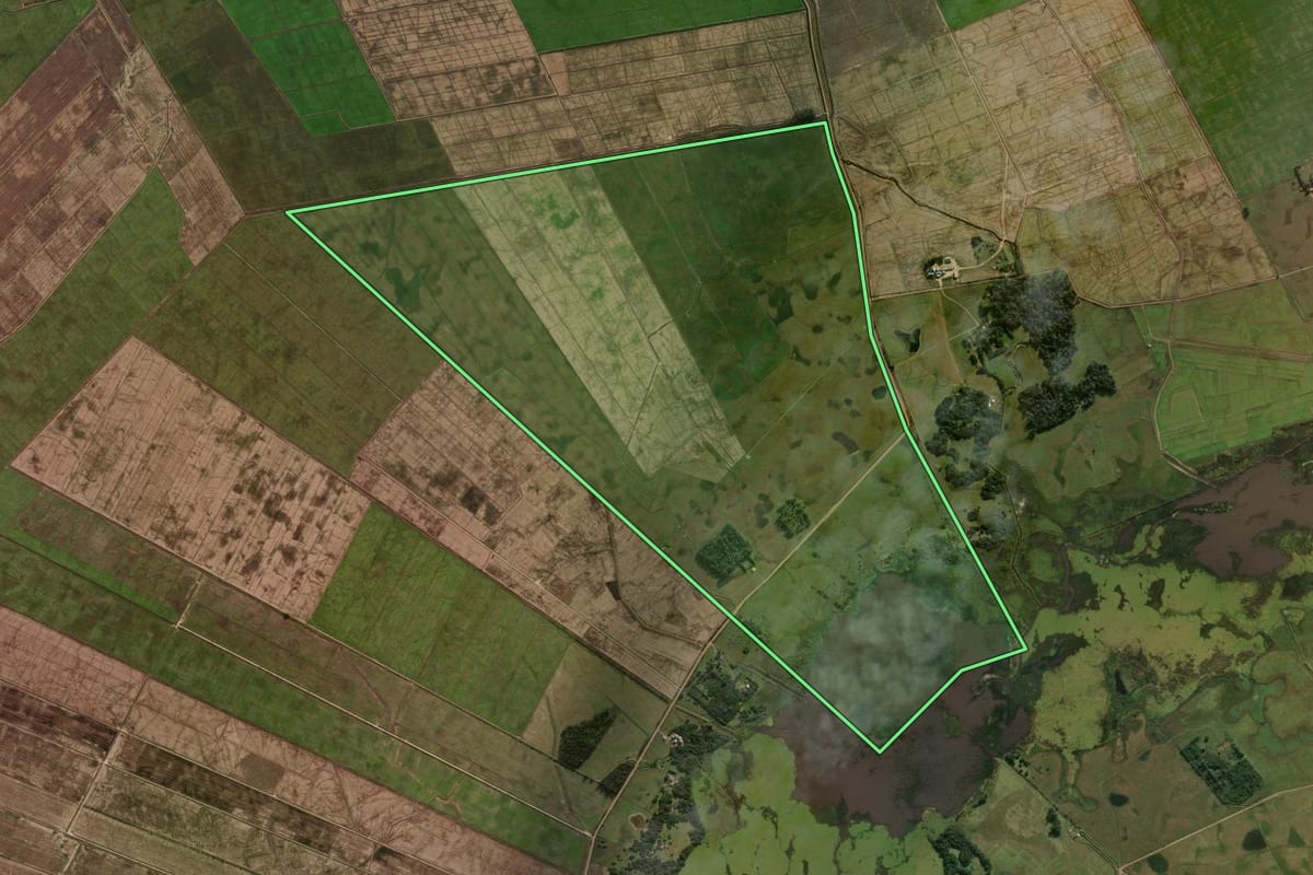Imagem de satélite do imóvel rural em Capivari do Sul (RS), com o contorno declarado no CAR desenhado por cima.