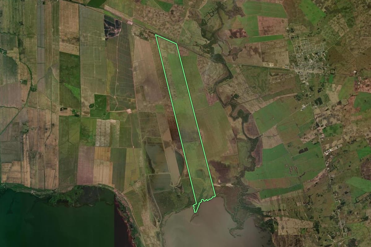 Imagem de satélite do imóvel rural em Capivari do Sul (RS), com o contorno declarado no CAR desenhado por cima.