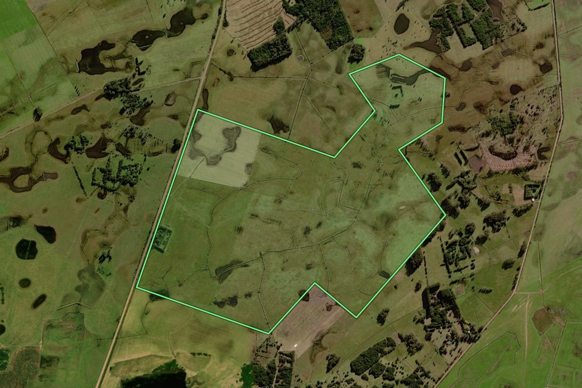 Imagem de satélite do imóvel rural em Capivari do Sul (RS), com o contorno declarado no CAR desenhado por cima.