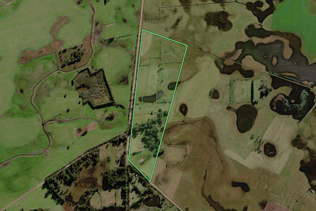 Imagem de satélite do imóvel rural em Capivari do Sul (RS), com o contorno declarado no CAR desenhado por cima.