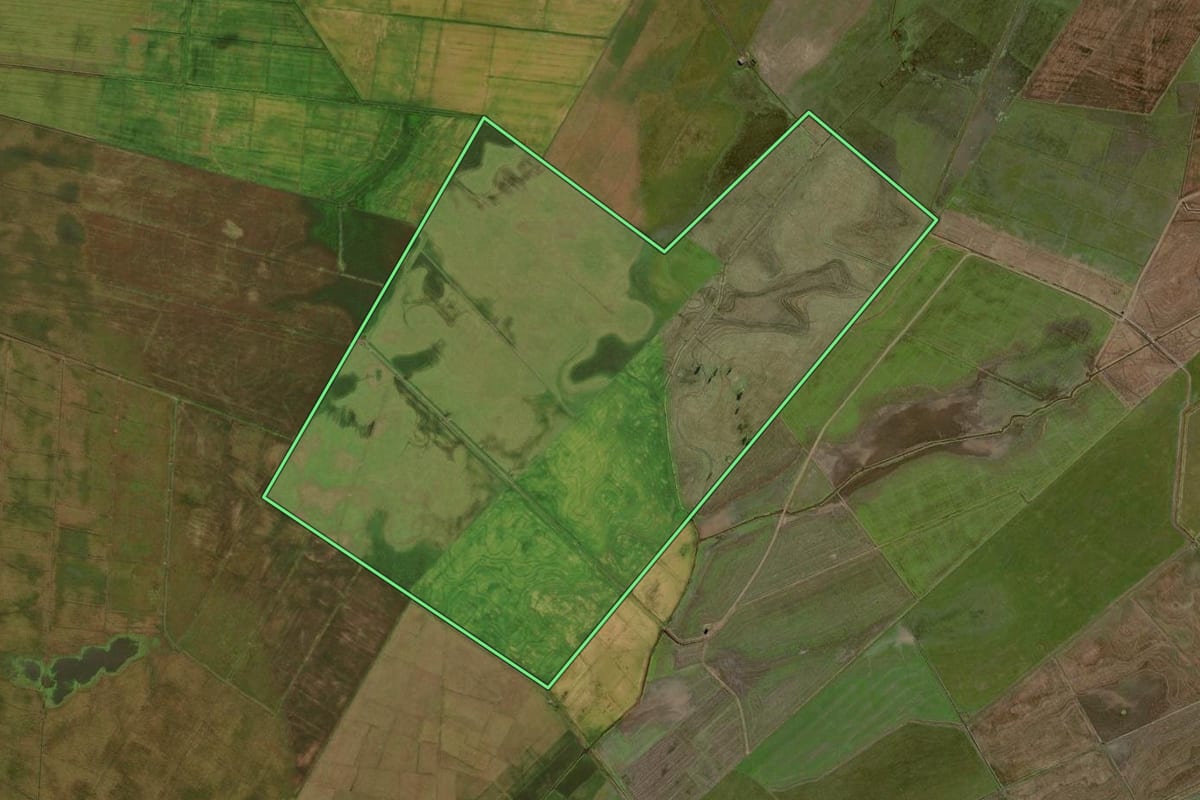Imagem de satélite do imóvel rural em Capivari do Sul (RS), com o contorno declarado no CAR desenhado por cima.
