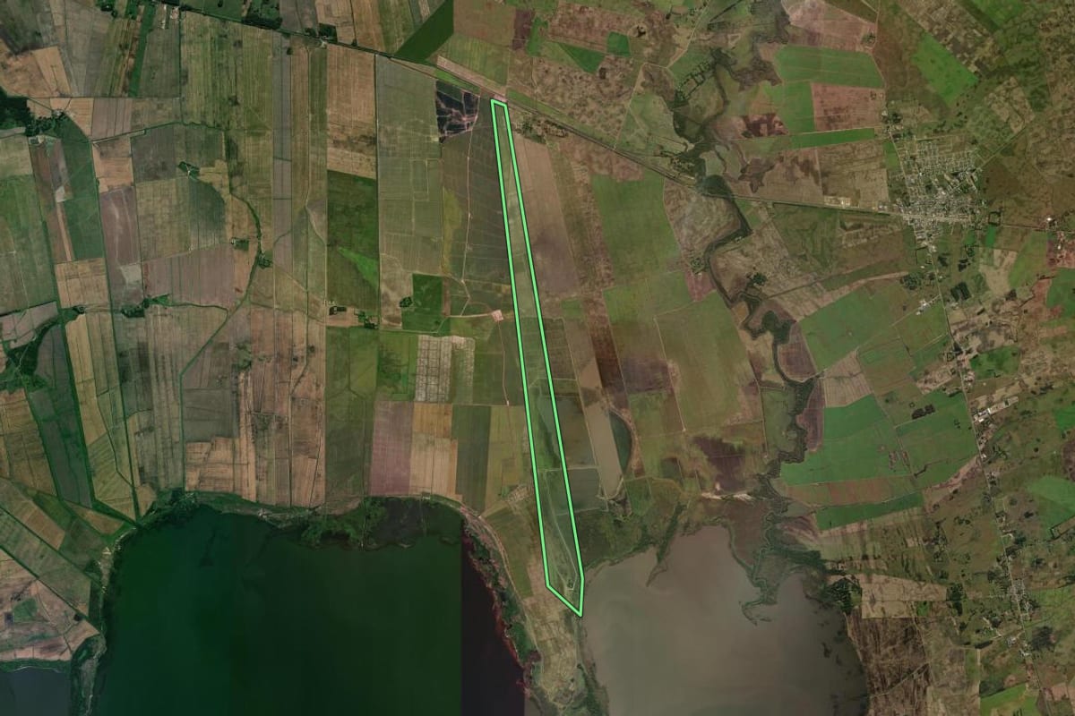 Imagem de satélite do imóvel rural em Capivari do Sul (RS), com o contorno declarado no CAR desenhado por cima.