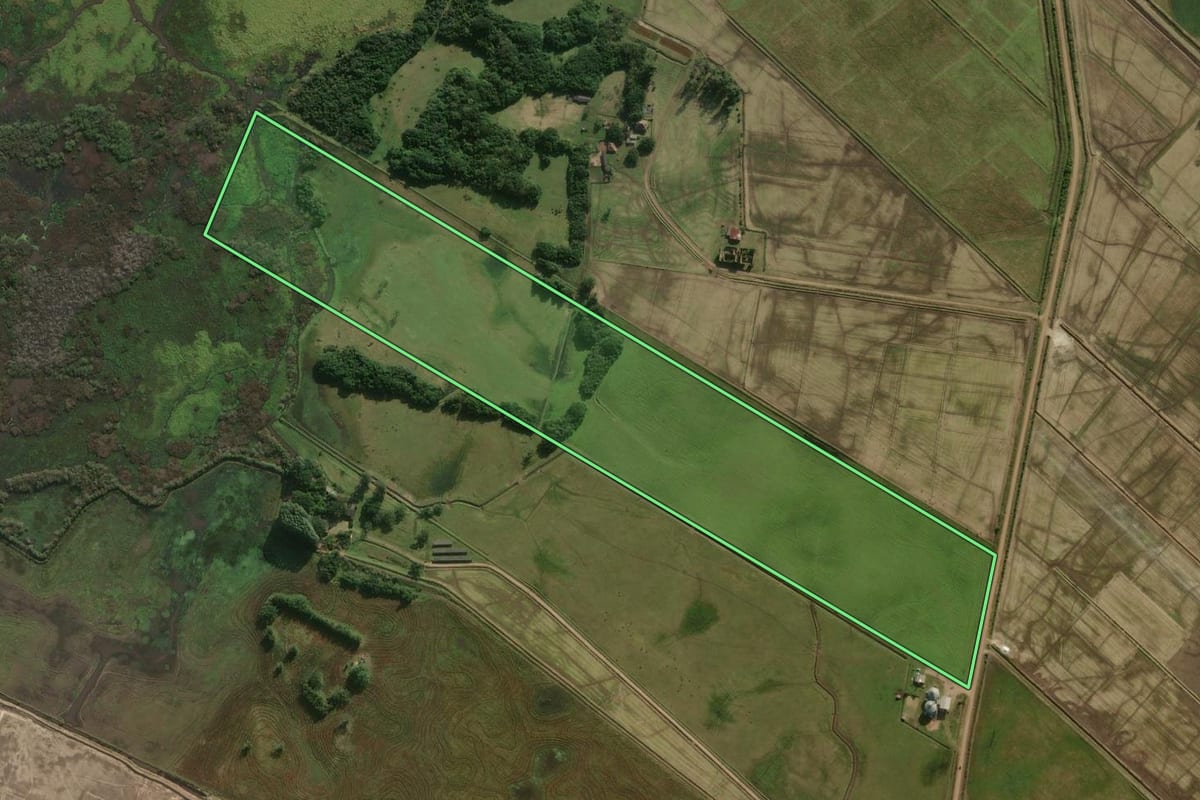 Imagem de satélite do imóvel rural em Capivari do Sul (RS), com o contorno declarado no CAR desenhado por cima.