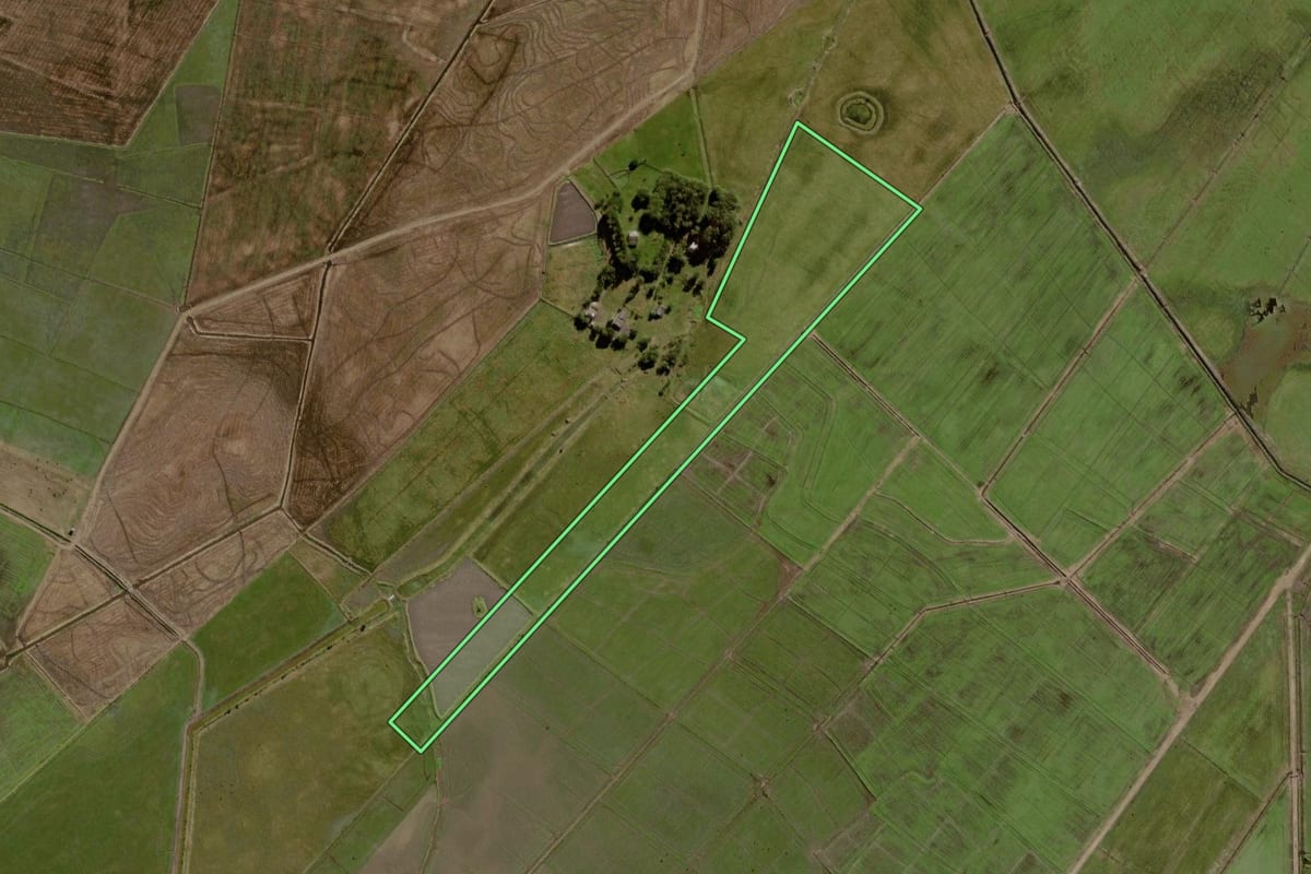 Imagem de satélite do imóvel rural em Capivari do Sul (RS), com o contorno declarado no CAR desenhado por cima.