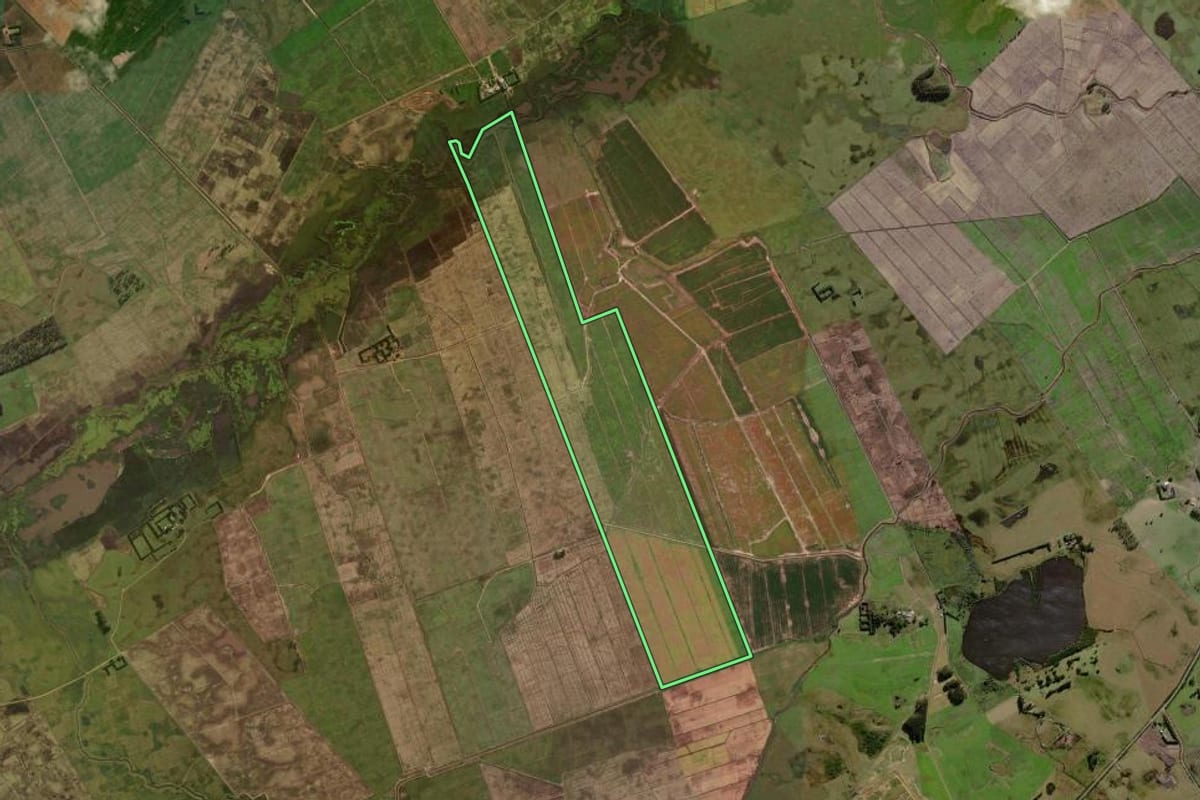 Imagem de satélite do imóvel rural em Capivari do Sul (RS), com o contorno declarado no CAR desenhado por cima.