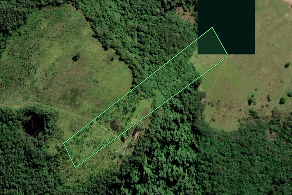 Imagem de satélite do imóvel rural em Capela de Santana (RS), com o contorno declarado no CAR desenhado por cima.