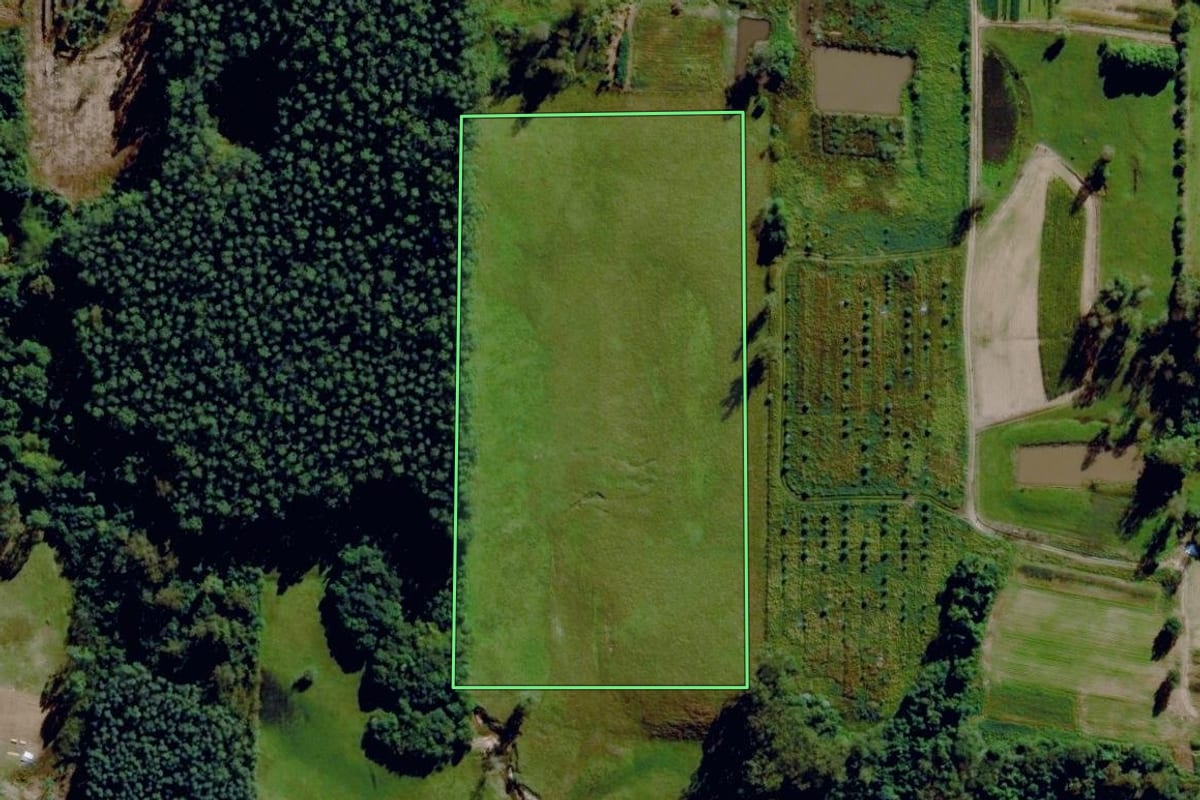 Imagem de satélite do imóvel rural em Capela de Santana (RS), com o contorno declarado no CAR desenhado por cima.
