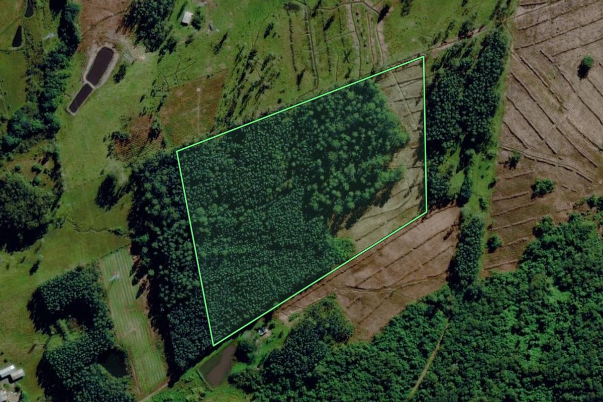 Imagem de satélite do imóvel rural em Capela de Santana (RS), com o contorno declarado no CAR desenhado por cima.