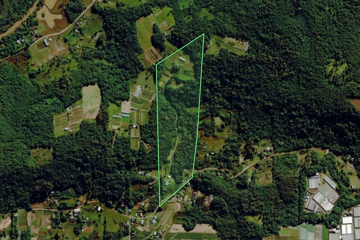 Imagem de satélite do imóvel rural em Capela de Santana (RS), com o contorno declarado no CAR desenhado por cima.