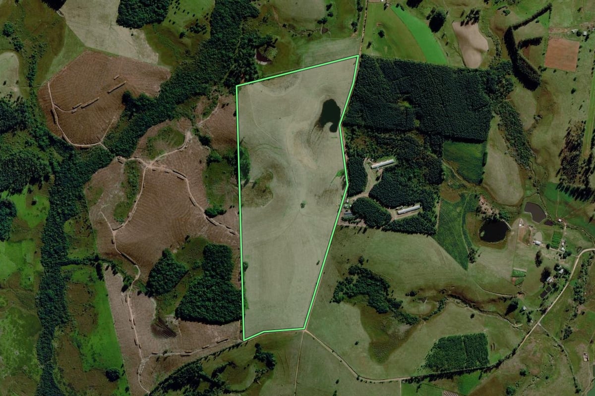 Imagem de satélite do imóvel rural em Capela de Santana (RS), com o contorno declarado no CAR desenhado por cima.