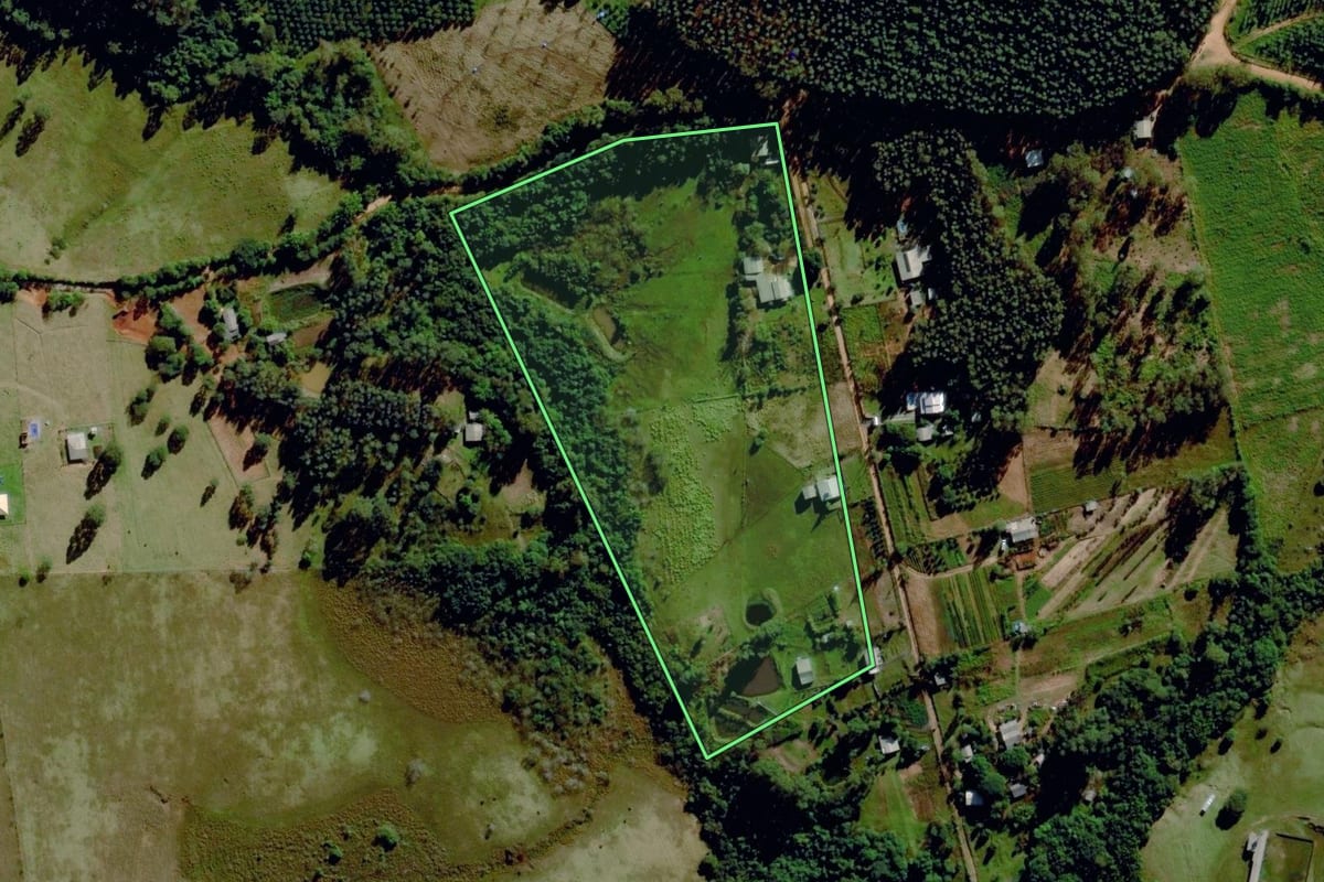 Imagem de satélite do imóvel rural em Capela de Santana (RS), com o contorno declarado no CAR desenhado por cima.
