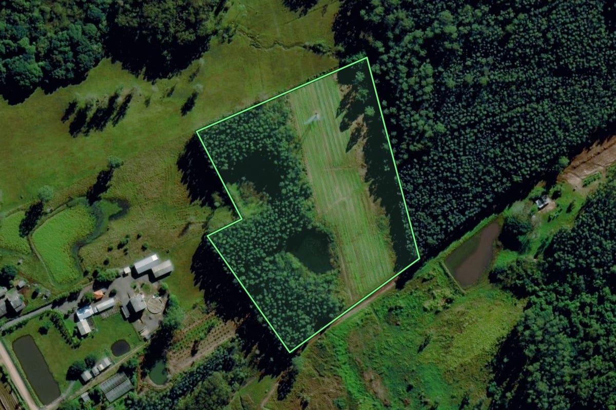 Imagem de satélite do imóvel rural em Capela de Santana (RS), com o contorno declarado no CAR desenhado por cima.