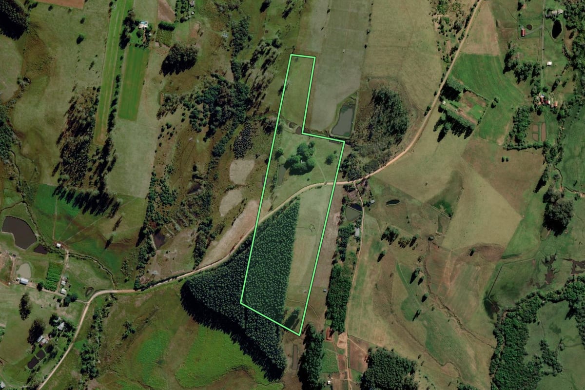 Imagem de satélite do imóvel rural em Capela de Santana (RS), com o contorno declarado no CAR desenhado por cima.