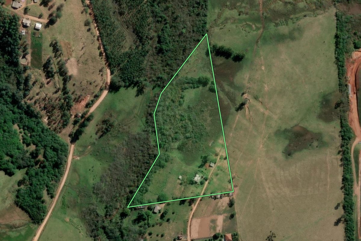 Imagem de satélite do imóvel rural em Capela de Santana (RS), com o contorno declarado no CAR desenhado por cima.