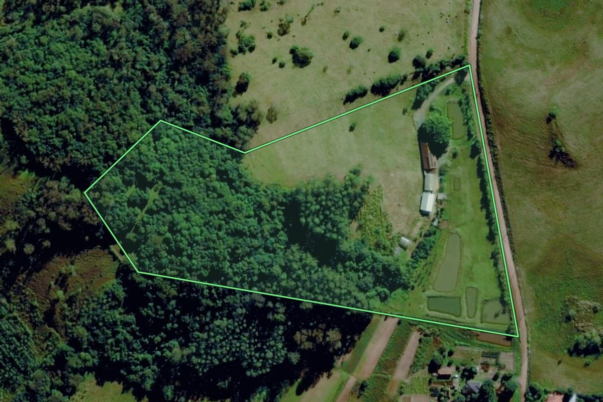 Imagem de satélite do imóvel rural em Capela de Santana (RS), com o contorno declarado no CAR desenhado por cima.