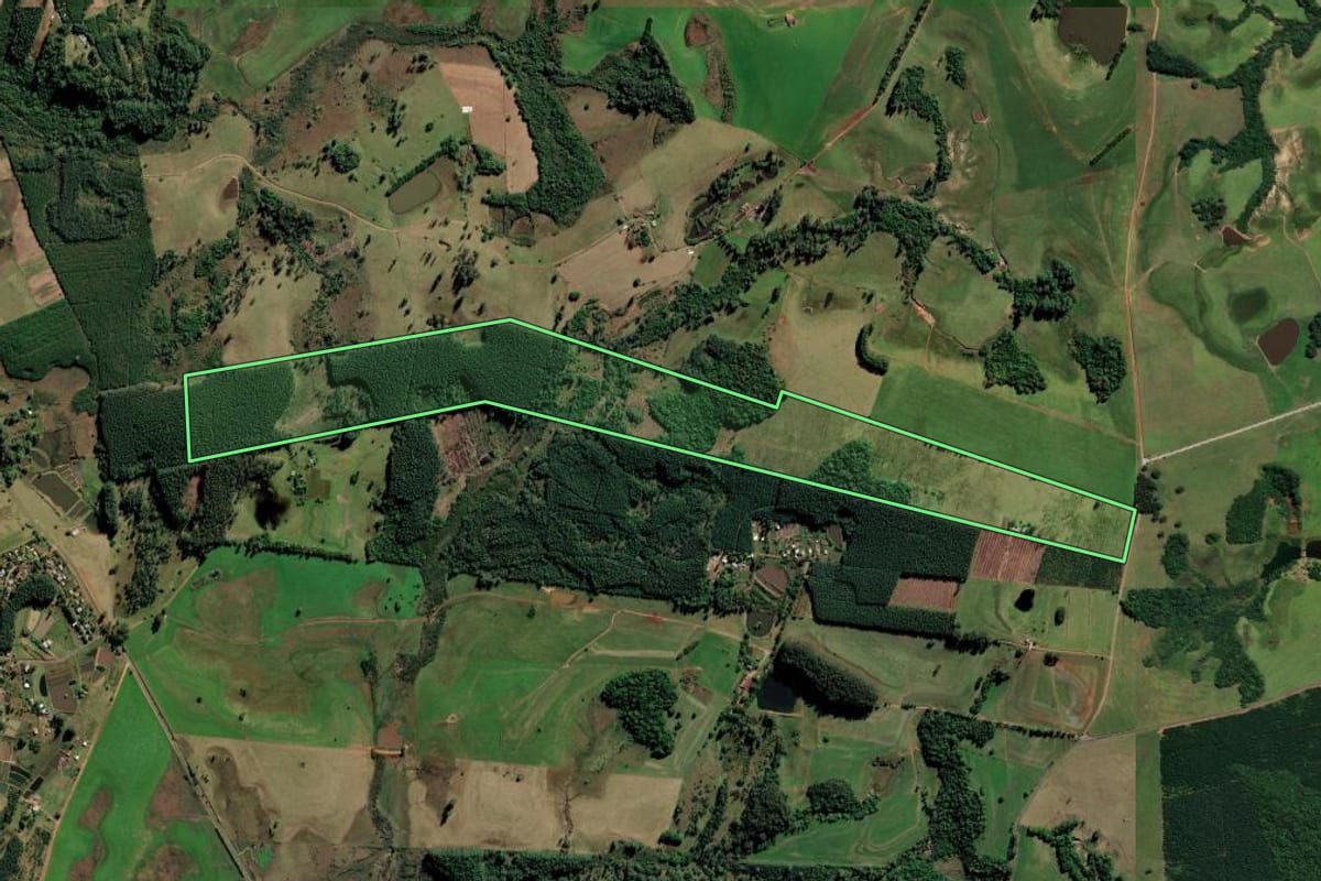 Imagem de satélite do imóvel rural em Capela de Santana (RS), com o contorno declarado no CAR desenhado por cima.