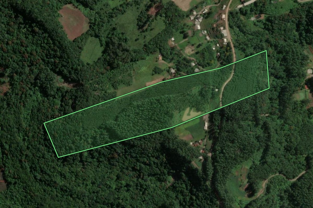 Imagem de satélite do imóvel rural em Capitão (RS), com o contorno declarado no CAR desenhado por cima.