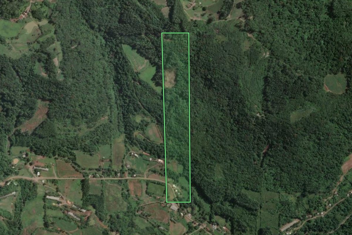 Imagem de satélite do imóvel rural em Capitão (RS), com o contorno declarado no CAR desenhado por cima.