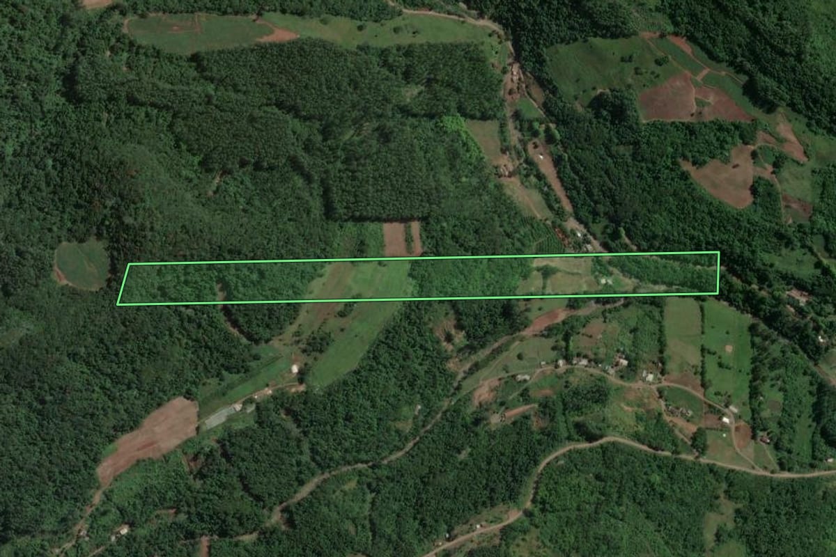 Imagem de satélite do imóvel rural em Capitão (RS), com o contorno declarado no CAR desenhado por cima.