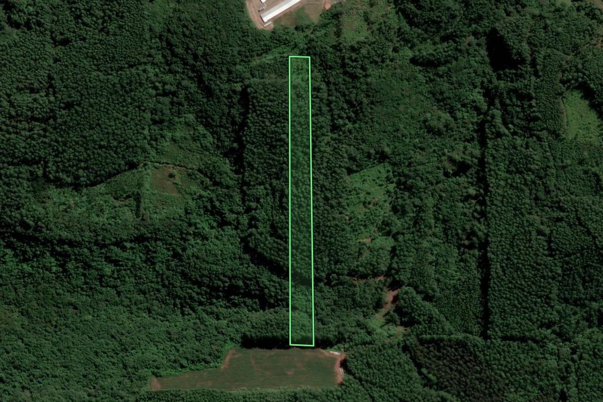 Imagem de satélite do imóvel rural em Capitão (RS), com o contorno declarado no CAR desenhado por cima.
