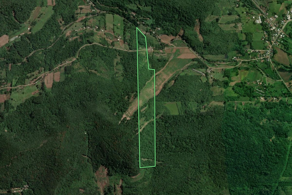 Imagem de satélite do imóvel rural em Capitão (RS), com o contorno declarado no CAR desenhado por cima.