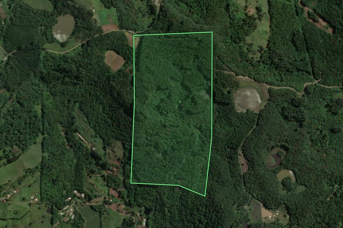 Imagem de satélite do imóvel rural em Capitão (RS), com o contorno declarado no CAR desenhado por cima.