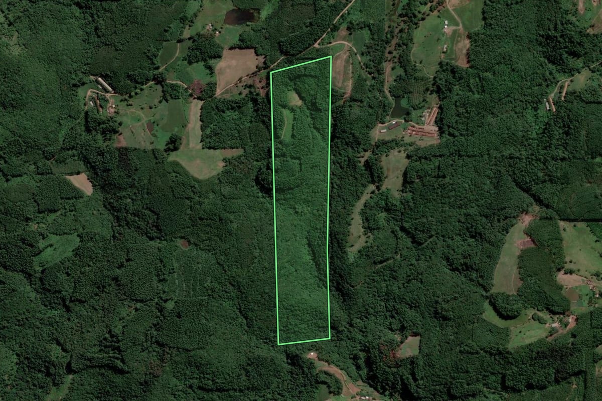 Imagem de satélite do imóvel rural em Capitão (RS), com o contorno declarado no CAR desenhado por cima.