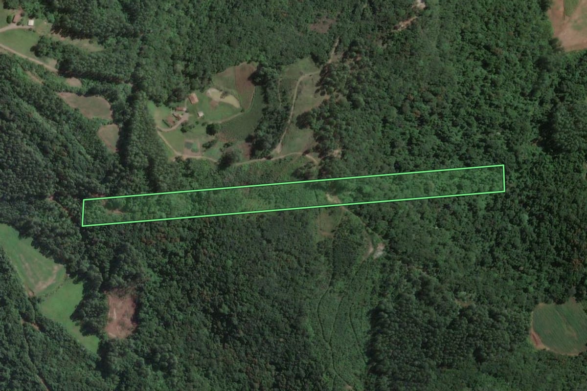 Imagem de satélite do imóvel rural em Capitão (RS), com o contorno declarado no CAR desenhado por cima.