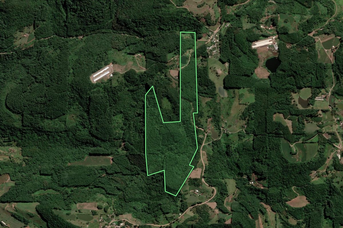 Imagem de satélite do imóvel rural em Capitão (RS), com o contorno declarado no CAR desenhado por cima.