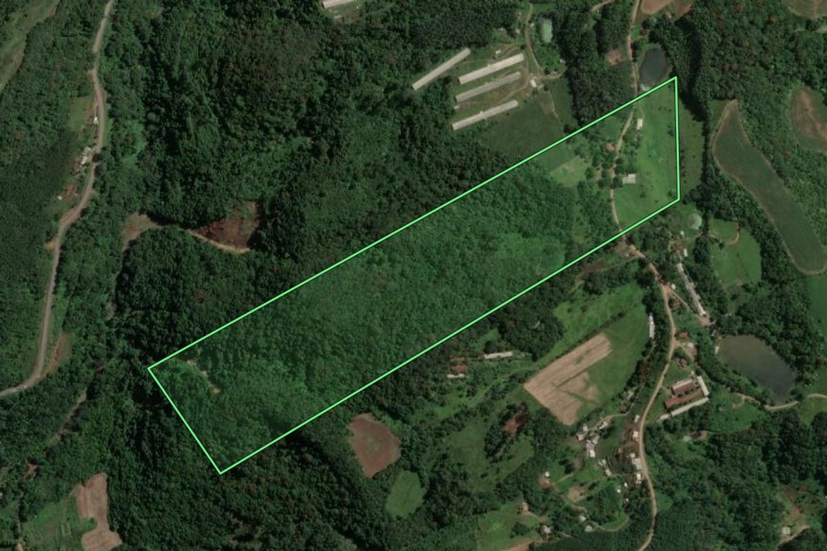 Imagem de satélite do imóvel rural em Capitão (RS), com o contorno declarado no CAR desenhado por cima.