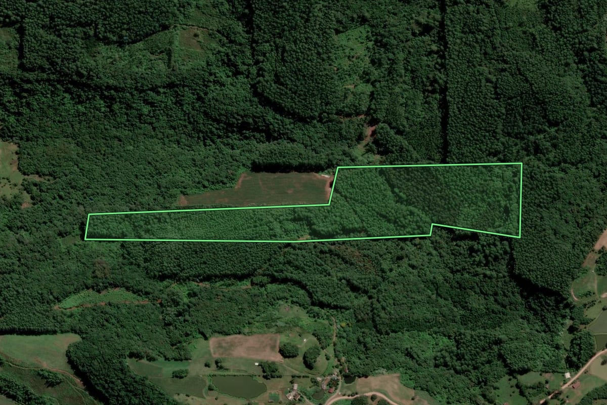 Imagem de satélite do imóvel rural em Capitão (RS), com o contorno declarado no CAR desenhado por cima.