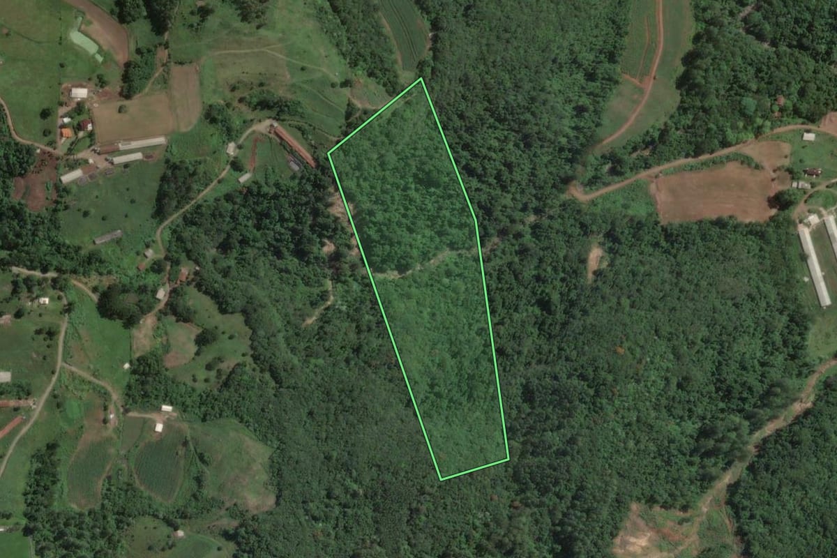Imagem de satélite do imóvel rural em Capitão (RS), com o contorno declarado no CAR desenhado por cima.
